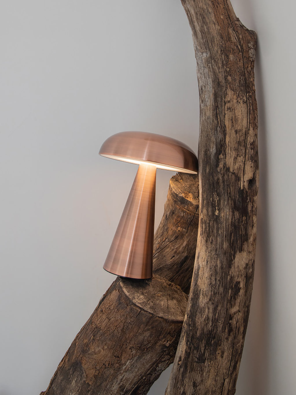 Porcini Rose Gold