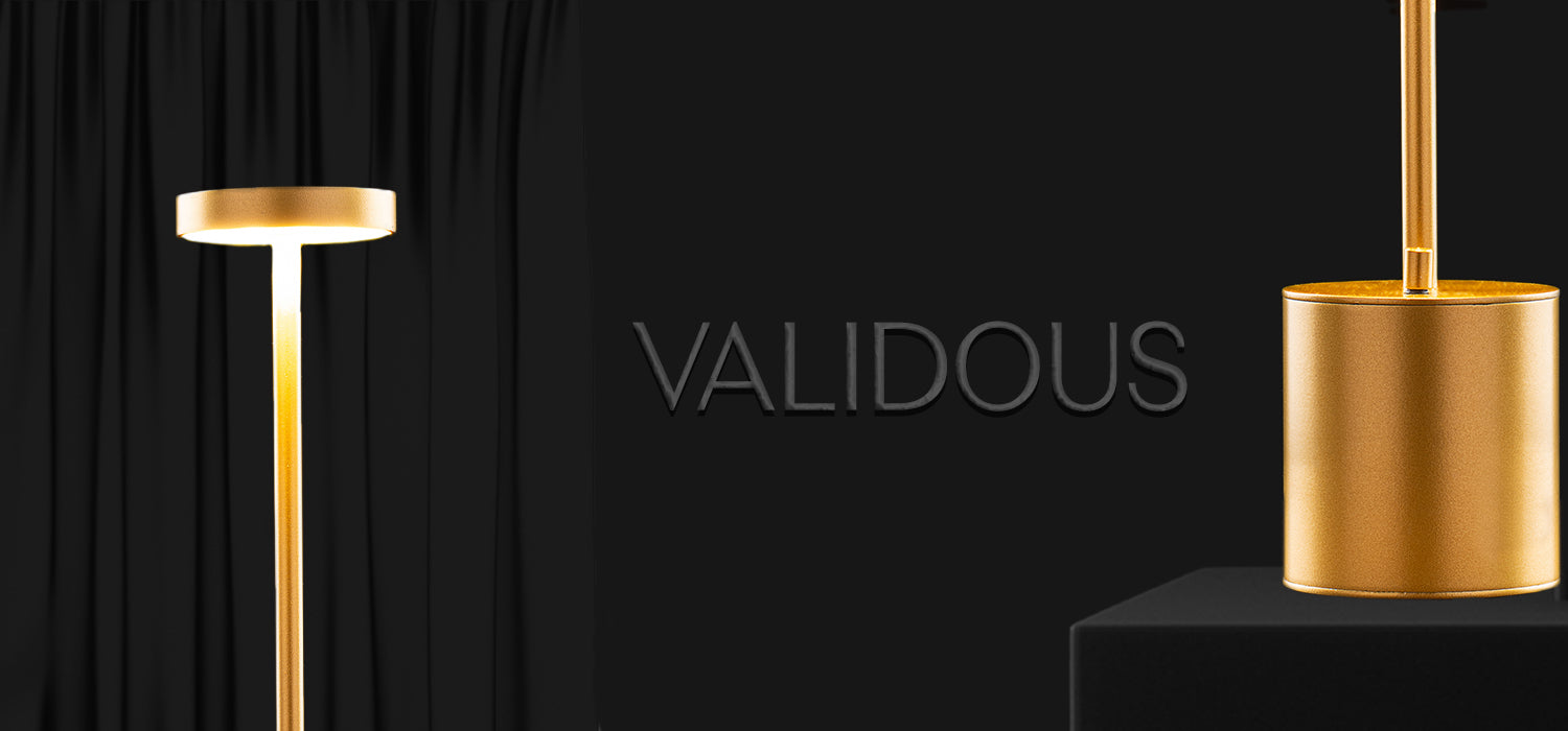 Validous-1
