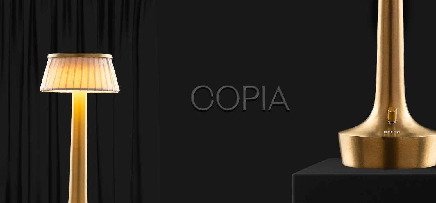Copia-1